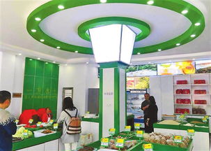 昭通電子商務產(chǎn)業(yè)健康有序發(fā)展