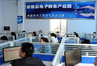 綏化市各地電子商務發展迅猛